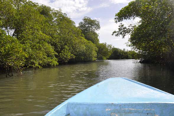 Excursion à la lagune de Tres Palos