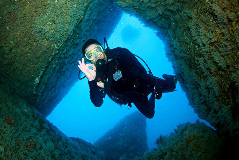 Diving in Acapulco