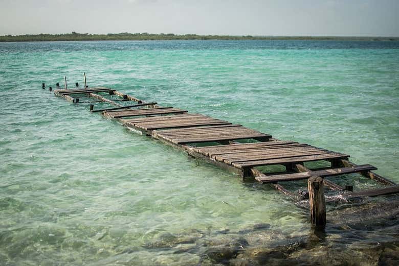 Eaux cristallines de la lagune de Bacalar à Quintana Roo 