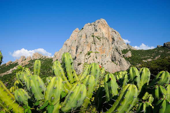 Senderismo por la Peña de Bernal al amanecer