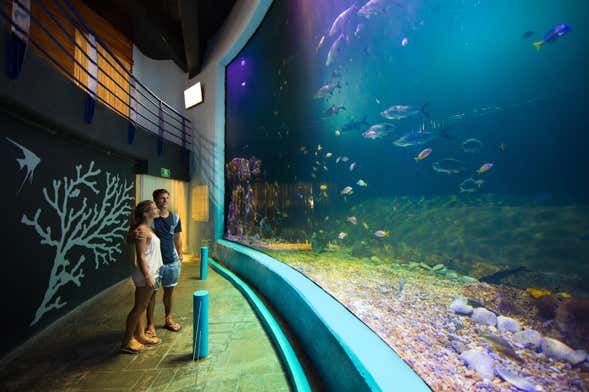 Entrada al Acuario Interactivo de Cancún