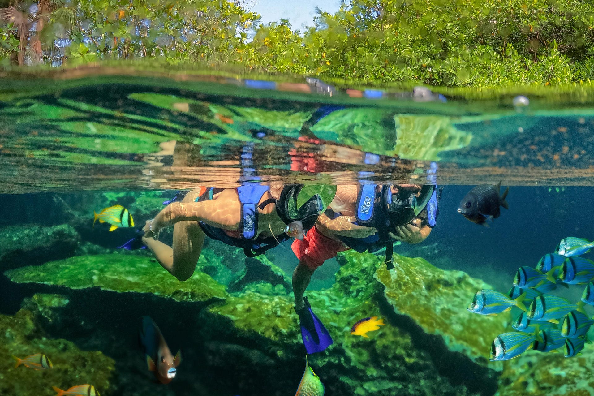 xel ha park best day trips cancun