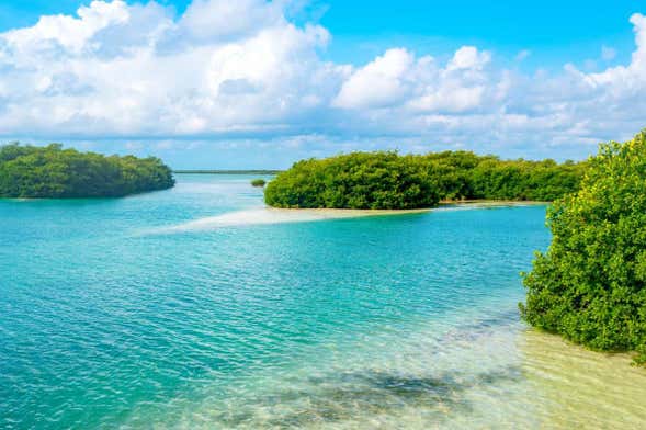 Excursión a Sian Ka'an + Paseo por Muyil