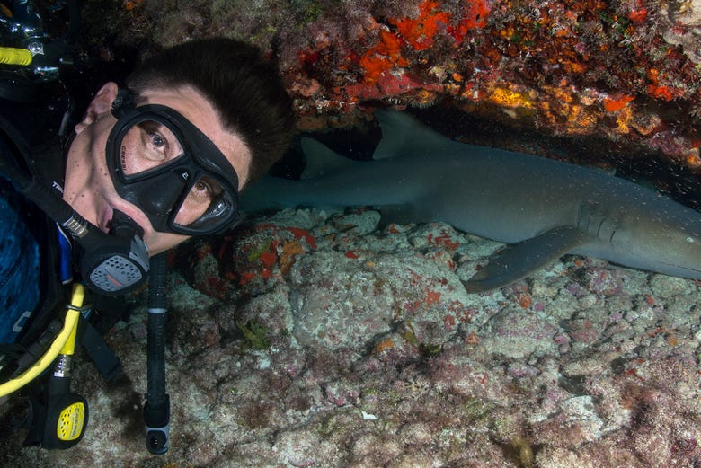 night scuba diving cancun