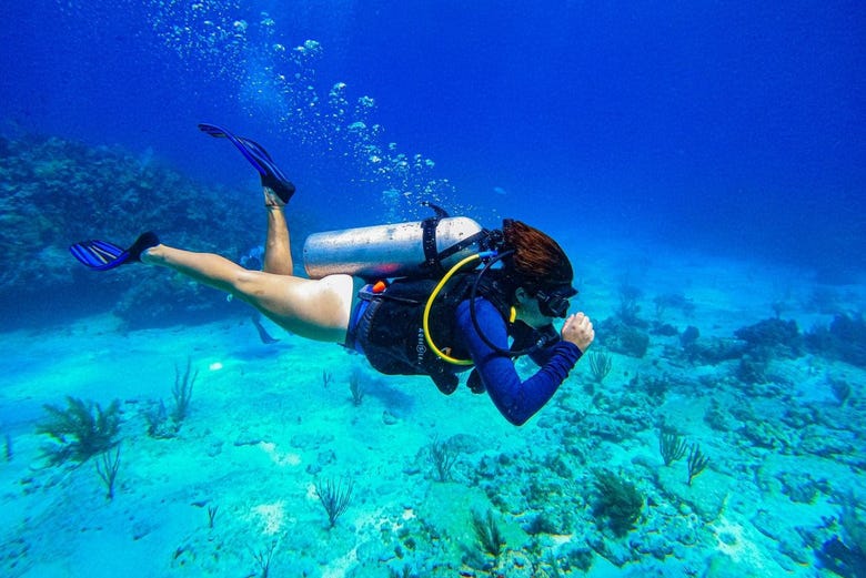 padi open water cancun