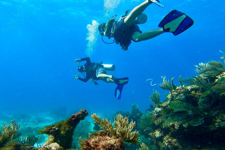 padi open water cancun