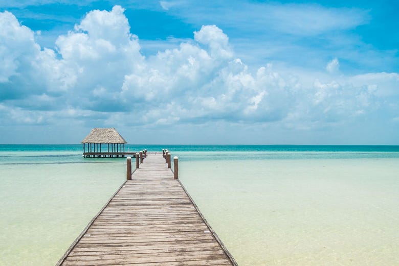 day trip from cancun to isla holbox