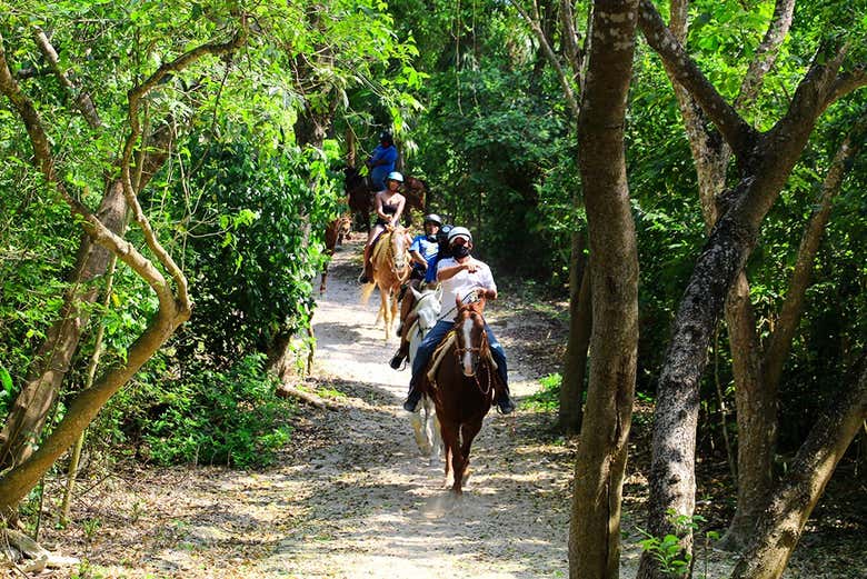 Passeando a cavalo