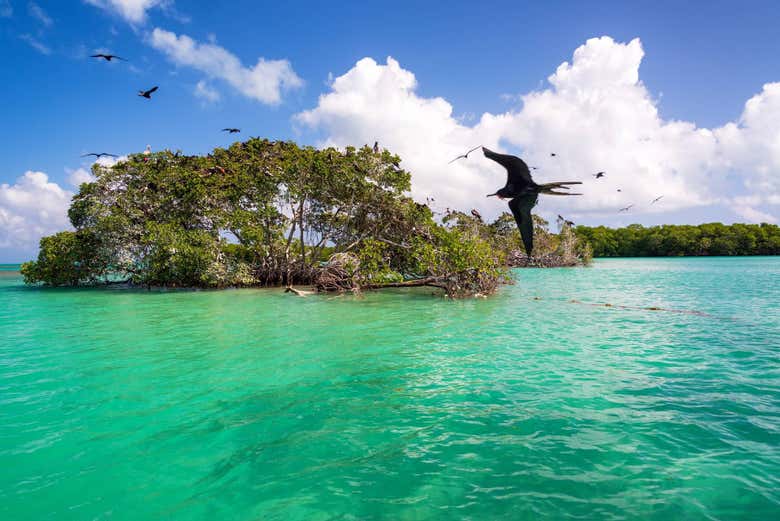 Reserva da Biosfera Sian Ka'an