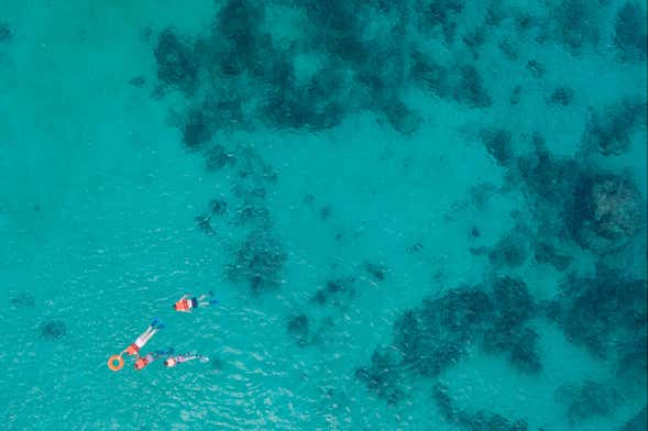 Snorkel em Cancún