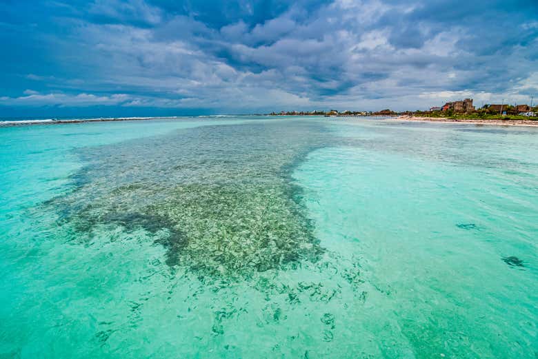 Paraíso mexicano, Mahahual 