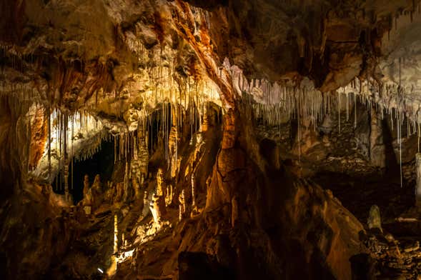 Excursión a las grutas de Coyame