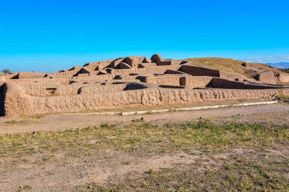 Excursión a Paquimé y Mata Ortiz