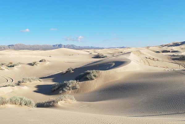 Samalayuca Dunes Sandboarding Tour from Chihuahua - Civitatis.com