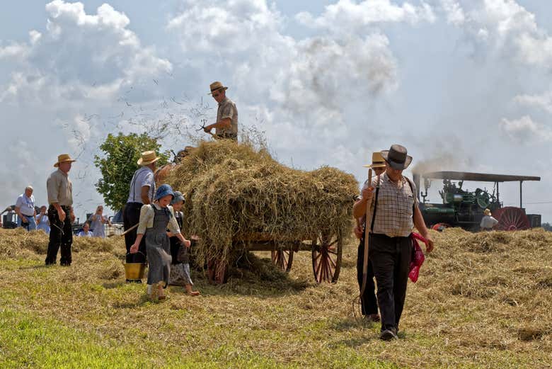 Mennonite farmers