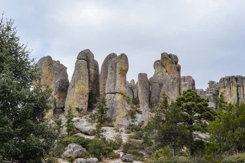 Valle de las Ranas de Creel