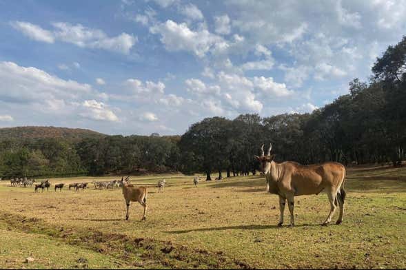 Excursión al Bioparque Estrella