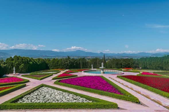 Excursión a los Jardines de México