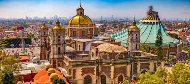 tour basilica de guadalupe