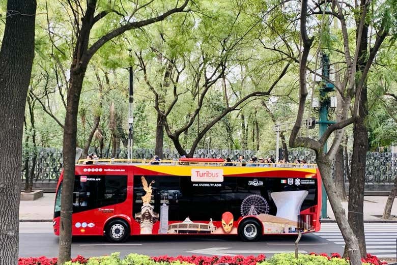 El autobús en el que subiremos