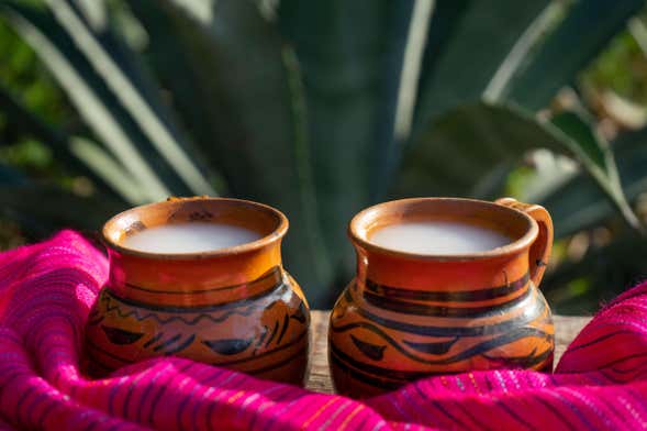 Tour del pulque, el tequila y el mezcal + Mercado de artesanía