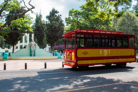 Tour en tranvía por Ciudad de México