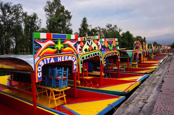 Tour por Xochimilco y Coyoacán + Paseo a caballo