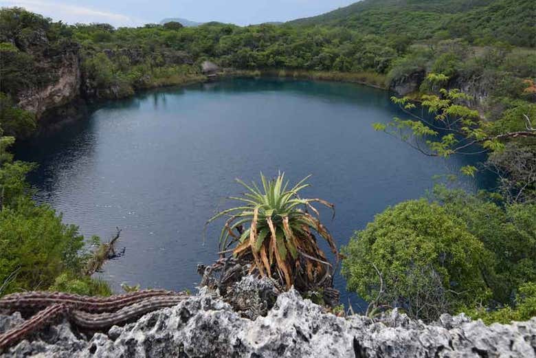 Visitaremos um belo cenote