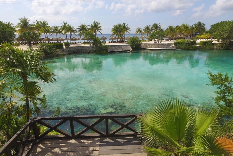 Excursión a Chankanaab, Cozumel