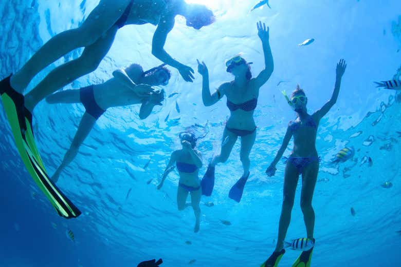 Snorkelling in Cozumel