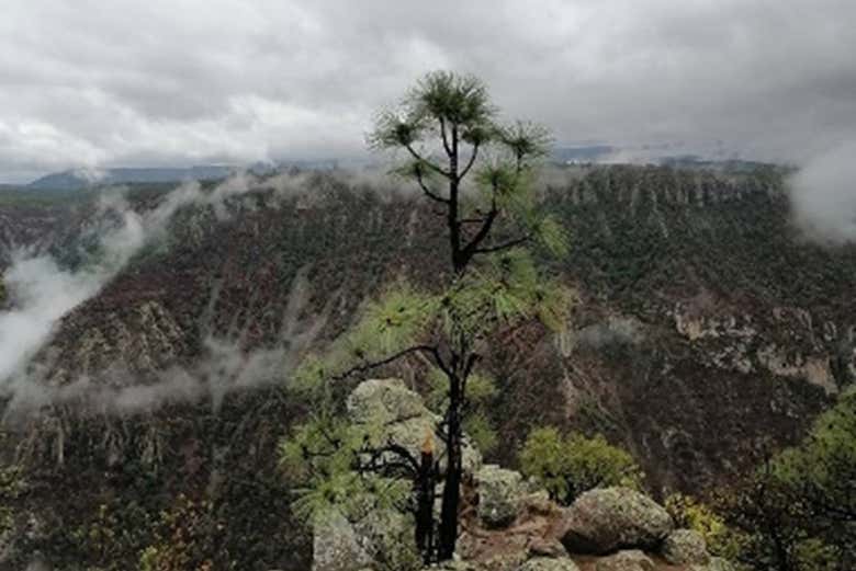 Paysages de la Barranca Tararecua