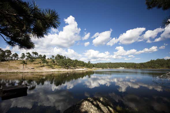 Excursión al Valle de los Hongos y lago de Arareco