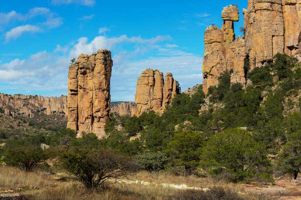 Excursión a la Sierra de Órganos y Nombre de Dios