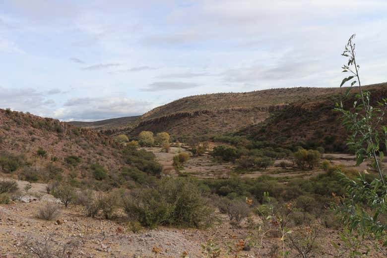 Surroundings of San Juan del Río