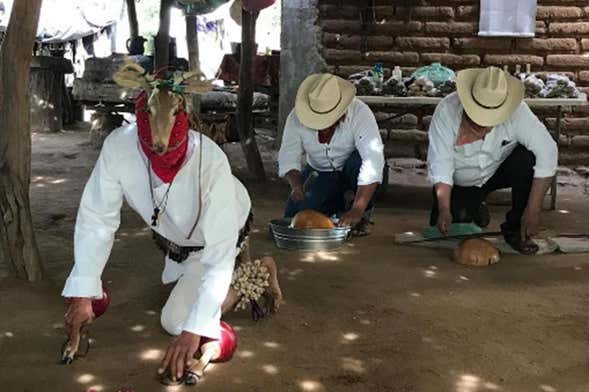 Mayo Indigenous Community Tour