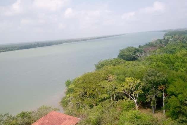 Paseo En Barco Privado Por La Reserva De La Biosfera Pantanos De Centla Frontera 5799