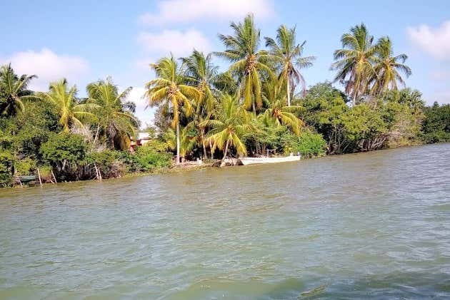 Paseo En Barco Privado Por La Reserva De La Biosfera Pantanos De Centla Frontera 9053