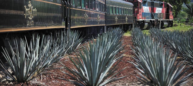 Tour to Tequila + Jose Cuervo Express Train