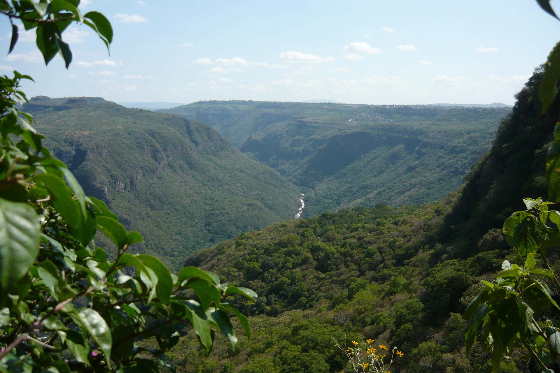 Senderismo Por La Barranca De Huentitán Desde Guadalajara