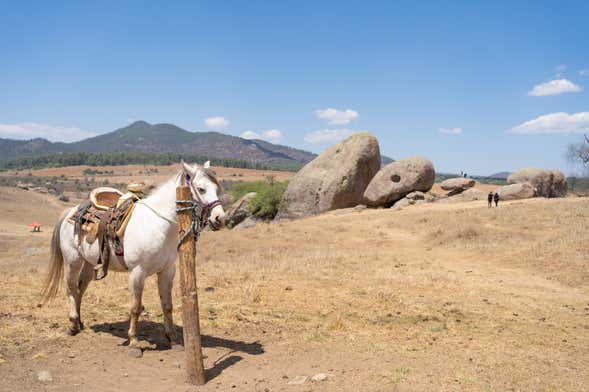 Paseo a caballo por la Sierra de Santa Rosa