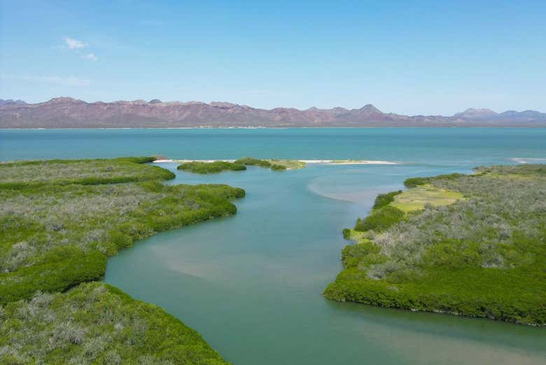 Un fiume che sfocia nel Golfo di California