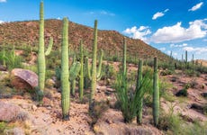 Tour de 3 días por el desierto de Sonora