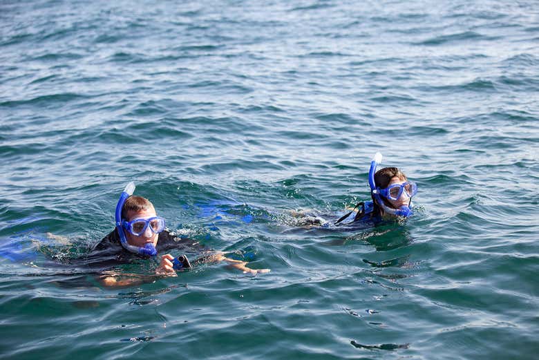 Snorkel in crystal-clear waters