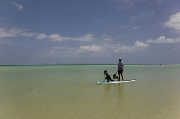 Paddleboard Tour in Holbox