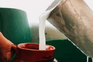 Vous découvrirez comment le pulque est fabriqué