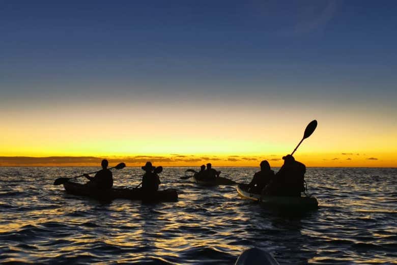 Kayak sunrise tour