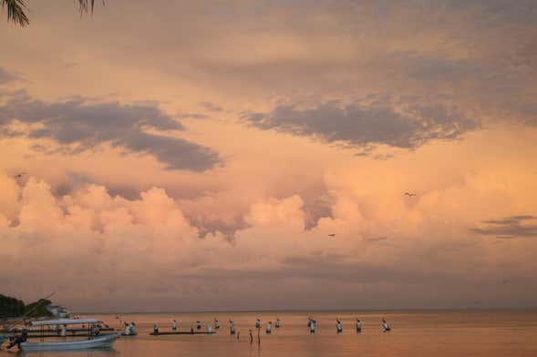 Paseo en lancha por la laguna de Términos