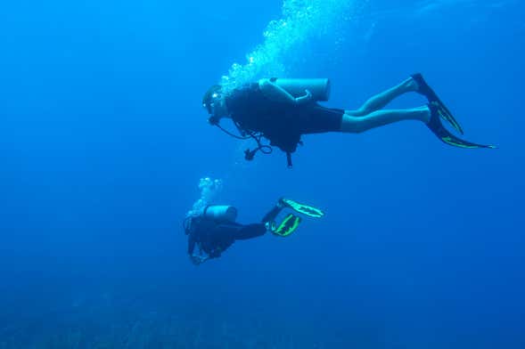 Bautismo de buceo en Ixtapa Zihuatanejo