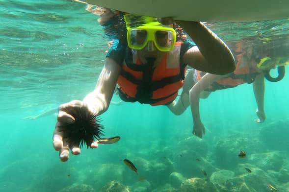 Snorkeling at Las Gatas Beach