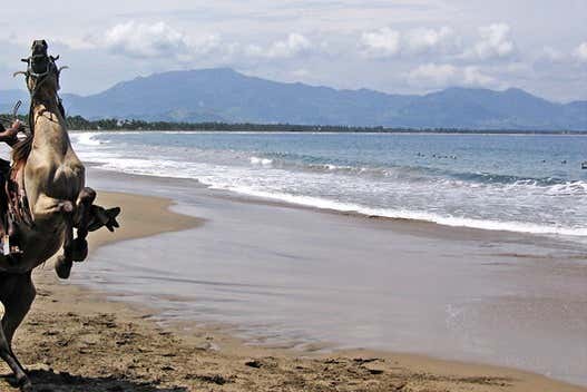 Ixtapa Zihuatanejo Horse Riding - Book Online At Civitatis.com